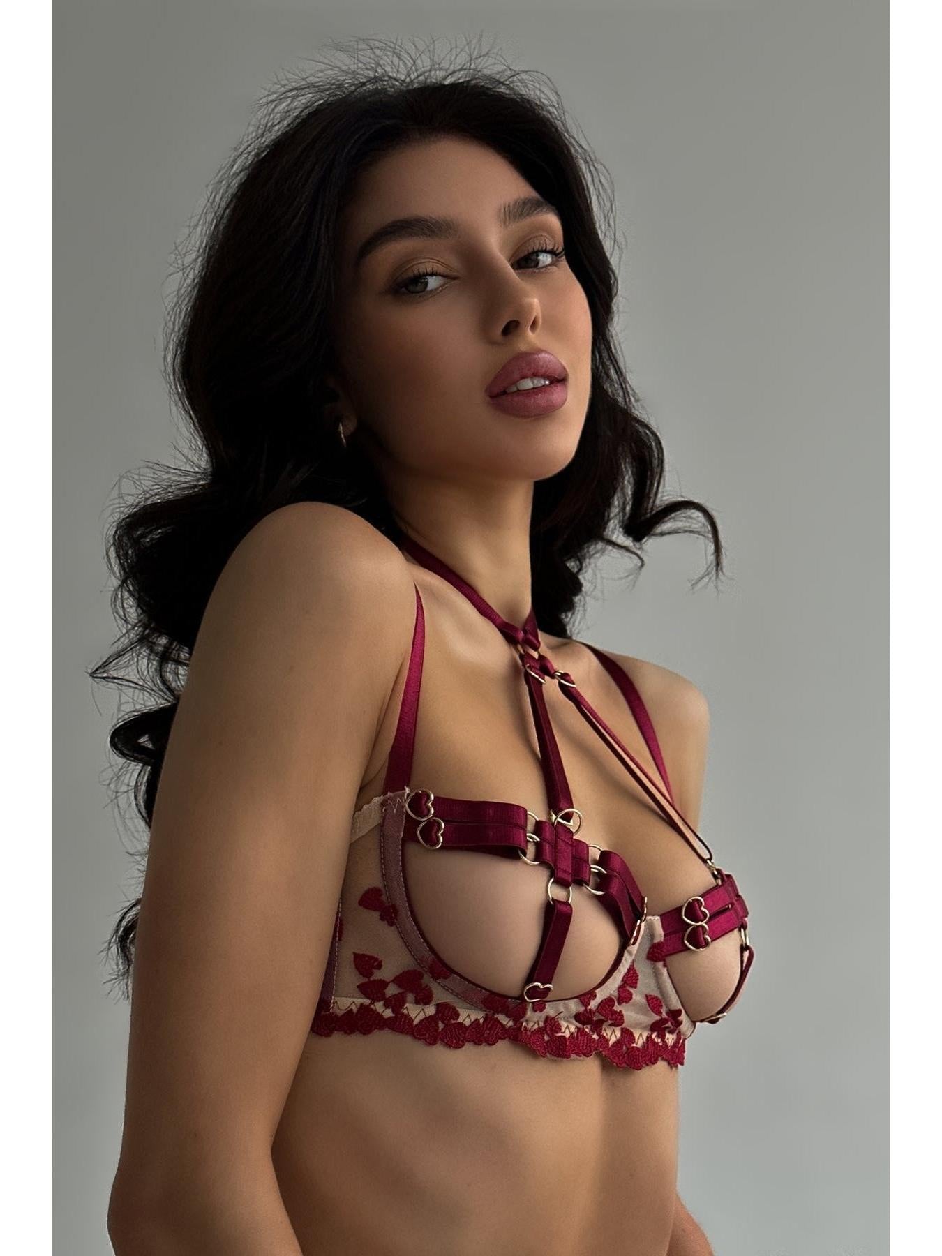 Celeste's Lingerie set